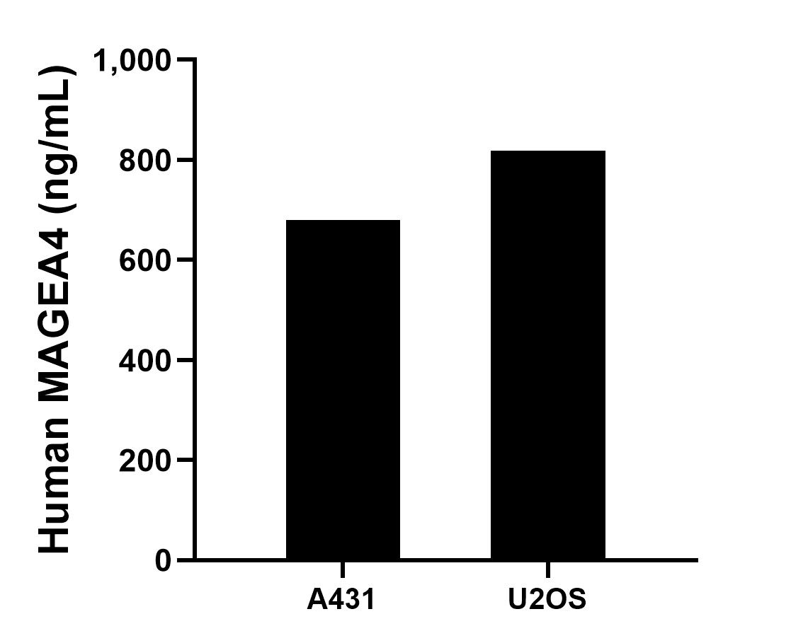 Sample test of MP01144-3